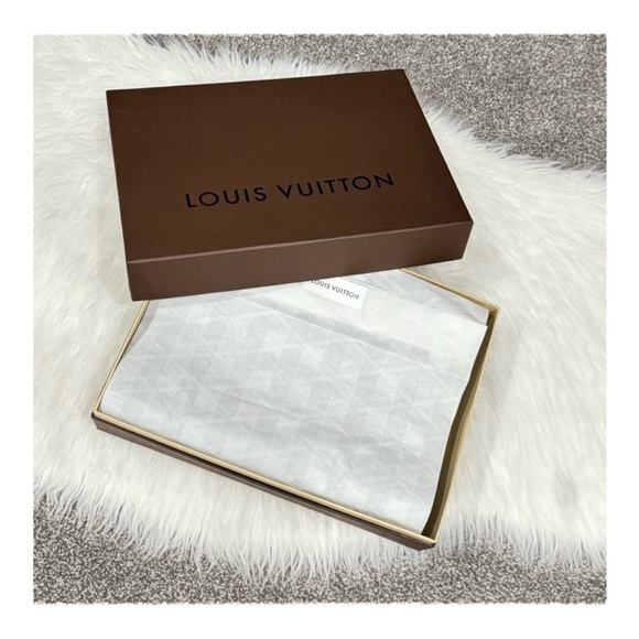 Louis Vuitton Damier Ebene Wool Scarf ✨ - Picture 10 of 10